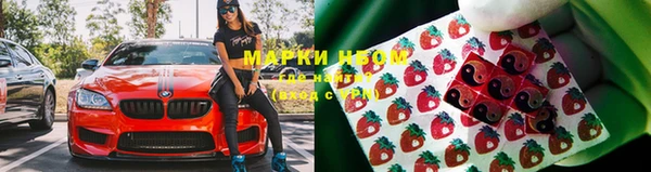 СК Абаза