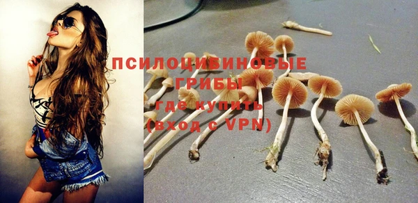 прущие крисы Покровск