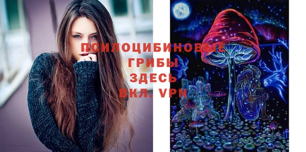 спайс Алексин