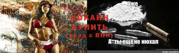 мдпв Абинск