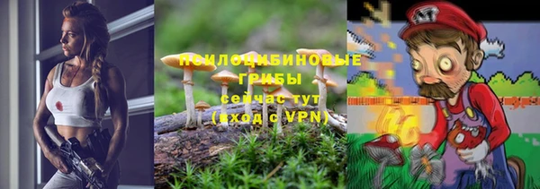 мдпв Абинск