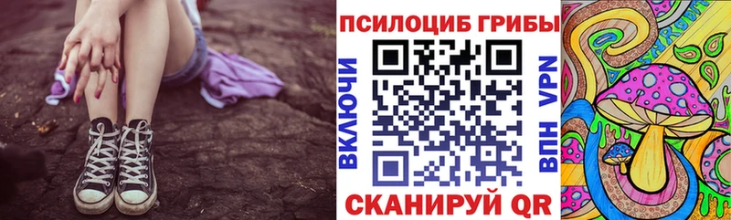 Псилоцибиновые грибы Psilocybe  где купить наркоту  Костомукша 