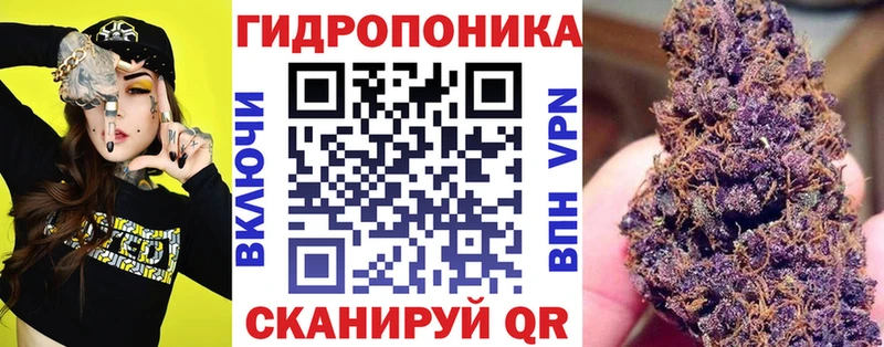 Бошки Шишки Amnesia  Костомукша 